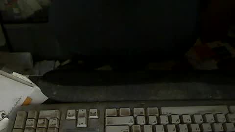 Loooopy online show from 07/24/26, 06:39