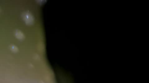 alotta_titties online show from 02/05/26, 08:41