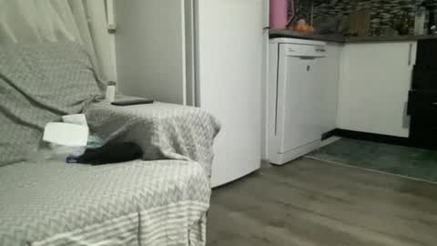 Snapshot of alphandre chatting on 02/22/25, 06:30 AlphAndre online show from 02/22/25, 06:30