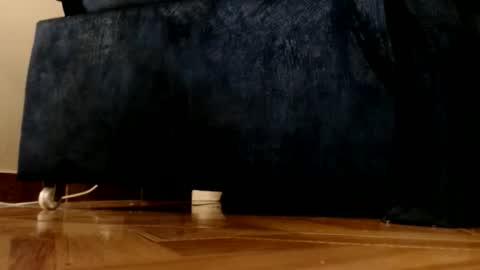 ur god online show from 03/01/26, 12:12