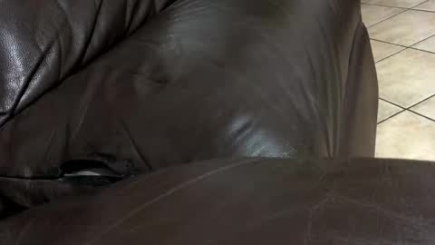 kenzo online show from 02/12/26, 06:58