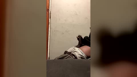 alwayshorny240177 online show from 02/13/26, 04:47