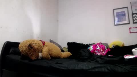 Snapshot of alynfoxx chatting on 06/24/26, 06:51 Alyn Maria online show from 06/24/26, 06:51