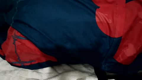 amadeusz online show from 12/22/24, 01:34