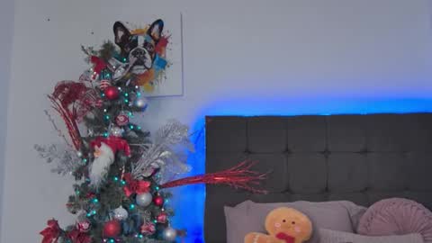 Amanda online show from 12/14/25, 05:07