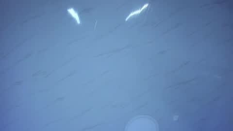 Emily online show from 01/31/26, 07:11