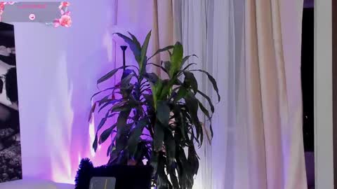 Amatista online show from 09/22/25, 11:51