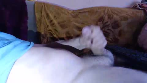 amazingcuteboy845 online show from 04/15/26, 08:20