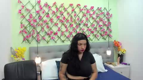 Snapshot of ambar85 chatting on 11/22/25, 03:49 ambar85 online show from 11/22/25, 03:49