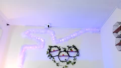 ambar_gh1 online show from 07/14/26, 08:47