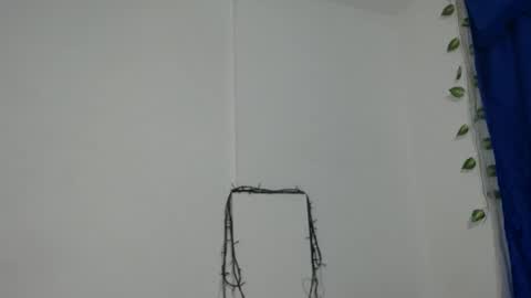 ambel_rose online show from 12/11/24, 01:05