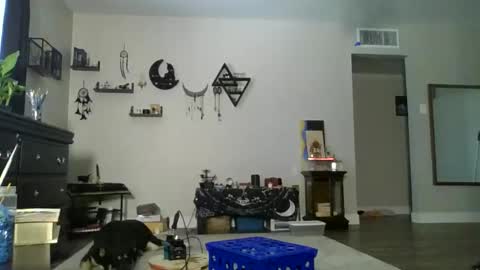 Ambitiousbackstrokes online show from 05/22/26, 07:30