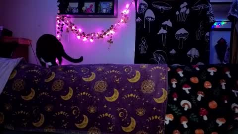 amburlicious online show from 02/22/26, 04:02