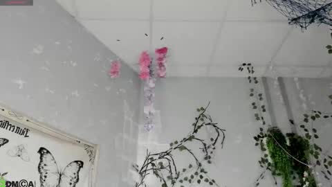 Ameli online show from 02/18/26, 02:29