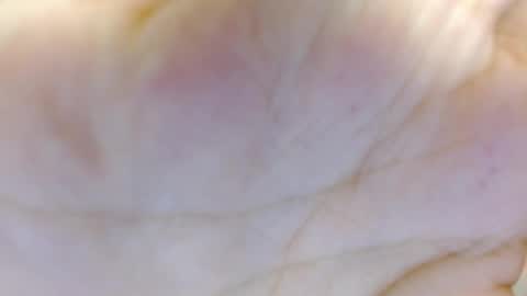 Snapshot of amelia_fry chatting on 03/05/25, 04:24 amelia_fry online show from 03/05/25, 04:24