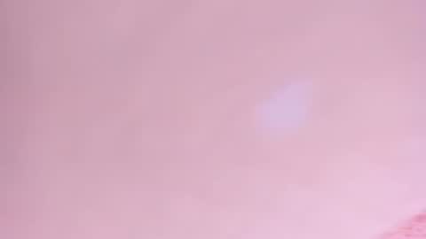 Snapshot of amelia_lov3 chatting on 07/05/26, 04:19 Amelia online show from 07/05/26, 04:19