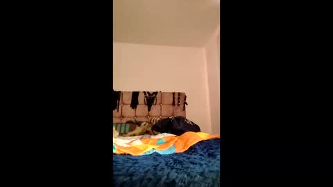amelie__martinez online show from 06/03/26, 02:33