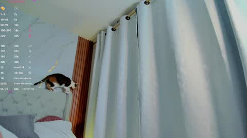 Alejandra  online show from 02/28/25, 07:37