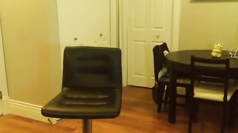 HOT white  naughty leo  xxx online show from 01/12/25, 06:16