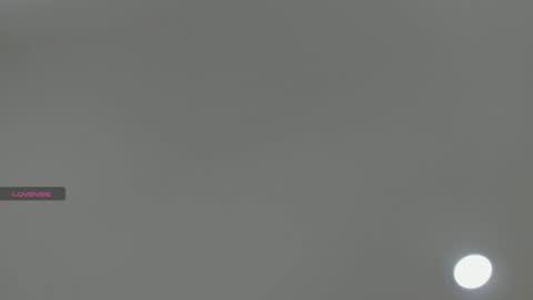 Amber online show from 12/04/25, 04:59