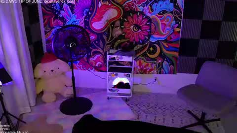 Snapshot of amphetameme chatting on 06/14/26, 02:24 sierra online show from 06/14/26, 02:24