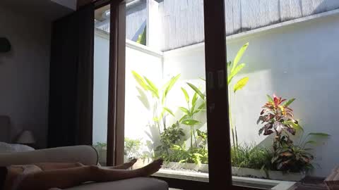 girl next door named Amy online show from 03/03/25, 07:54