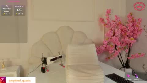 Amykord online show from 11/02/25, 11:34