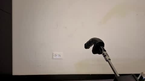 Anabel Alice Gandara online show from 05/17/26, 05:31