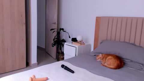 Ana Henao or Annie... Follow me ahenaocb Insta  X online show from 09/26/25, 08:57