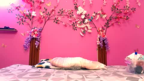 analdee online show from 11/15/25, 07:10