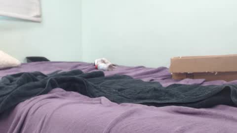 Snapshot of analking69420lol chatting on 10/14/25, 10:43 AnalKing online show from 10/14/25, 10:43