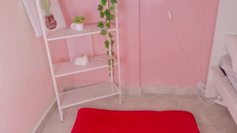 Kendra  online show from 01/12/26, 11:37