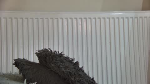 of  just4ana online show from 01/05/26, 05:27