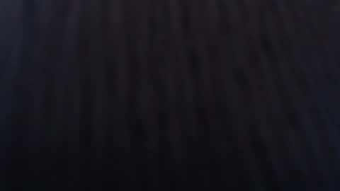   online show from 01/02/25, 12:03