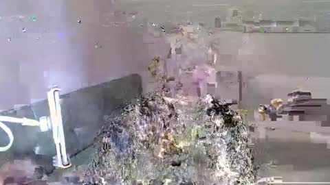 Snapshot of andorphina chatting on 01/06/25, 12:24 Andorphin online show from 01/06/25, 12:24