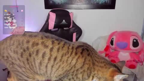 Andrea online show from 03/08/26, 07:01