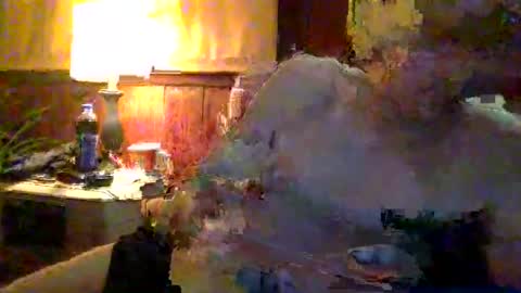 rayray32 online show from 01/09/25, 03:36