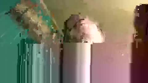rayray32 online show from 02/17/25, 05:25