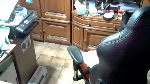 Snapshot of androgynia1 chatting on 10/17/25, 11:57 androgynia online show from 10/17/25, 11:57