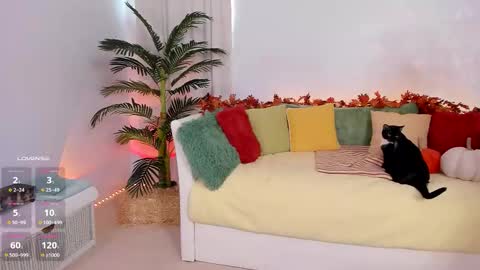 Claire - be back soon online show from 11/14/25, 07:56