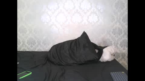 Snapshot of angel_lein chatting on 02/11/25, 07:59 Angel Lein online show from 02/11/25, 07:59