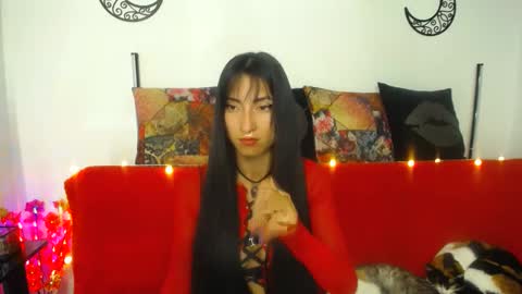 Snapshot of angela_mis chatting on 12/20/24, 02:19 Angela online show from 12/20/24, 02:19