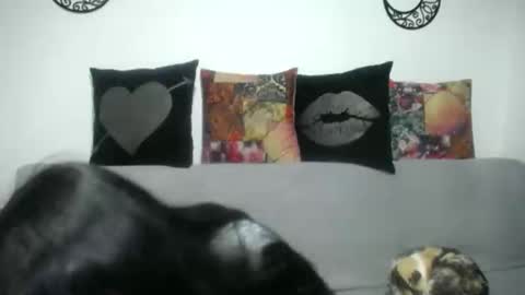 Snapshot of angela_mis chatting on 03/07/25, 03:19 Angela online show from 03/07/25, 03:19