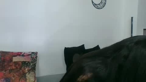 Snapshot of angela_mis chatting on 03/11/25, 02:32 Angela online show from 03/11/25, 02:32