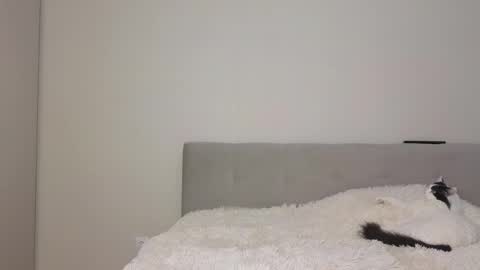 Angel online show from 04/24/26, 03:42