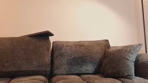 angelinepossy online show from 02/16/26, 10:50