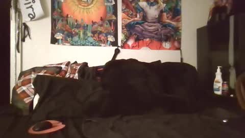 Angel and Mark online show from 02/08/26, 05:33