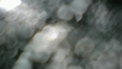 angeltta69 online show from 04/08/26, 06:35