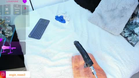 angiee roses online show from 12/13/24, 06:21