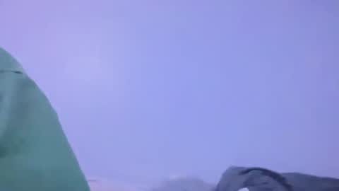 Animeboygirls online show from 02/02/26, 05:39